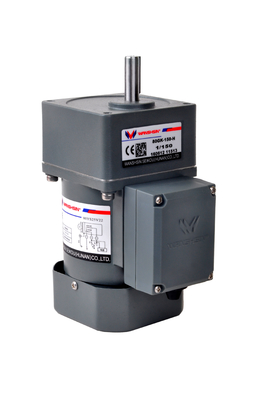 AC 6 - мотор 250W 220V зацепленный компактом для конвейерной ленты
